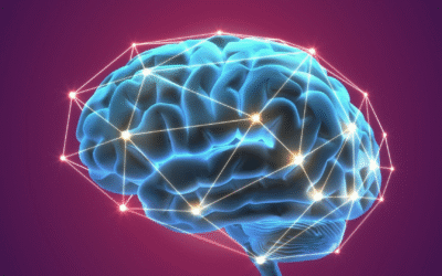 OpenAI : exclusif, aujourd’hui sa suite IA défie Microsoft 365