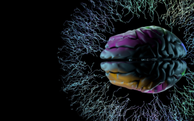 OpenAI annonce aujourd’hui pub sur ChatGPT : pourquoi ce virage ?